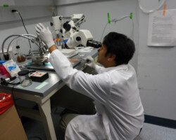 5/29/2015: Congratulations to Farhan for receiving the Brown-Coxe fellowship!