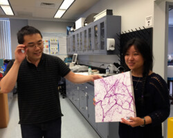 8/26/2015: Victoria was the first member of the lab. We are sad to see you go and wish you all the best!