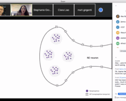 3/13/2020: JIanna presented her new data for the Molecular Psychiatry division Friday meeting on Zoom. #FlattenTheCurve