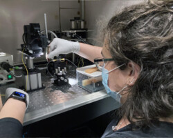 4/12/2021: Heather putting in a Neuropixels probe, under a high-stress condition with the PI watching.
