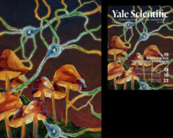 12/29/2021: Thank you for the beautiful illustration, Sophia Zhao '23!